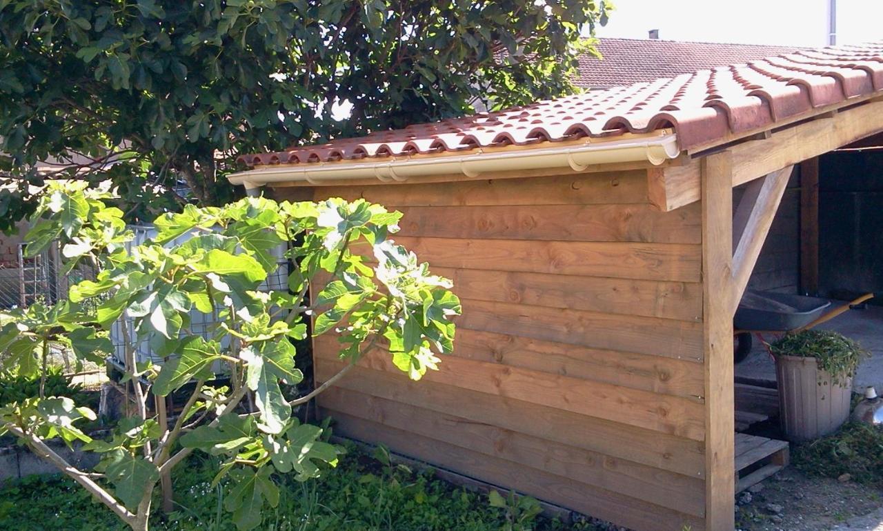 Maison De Ville Au Pied De La Montagne Noire Mazamet Dış mekan fotoğraf